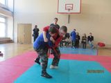 Соревнования - Соревнования по борьбе и фехтованию